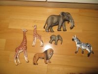 6 Schleich Tiere Wildlife Safari - Elefant, Giraffe, Löwe, Zebra Dresden - Coschütz/Gittersee Vorschau