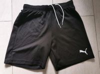 Kurze Sport Hose von puma in Gr M Sachsen-Anhalt - Magdeburg Vorschau