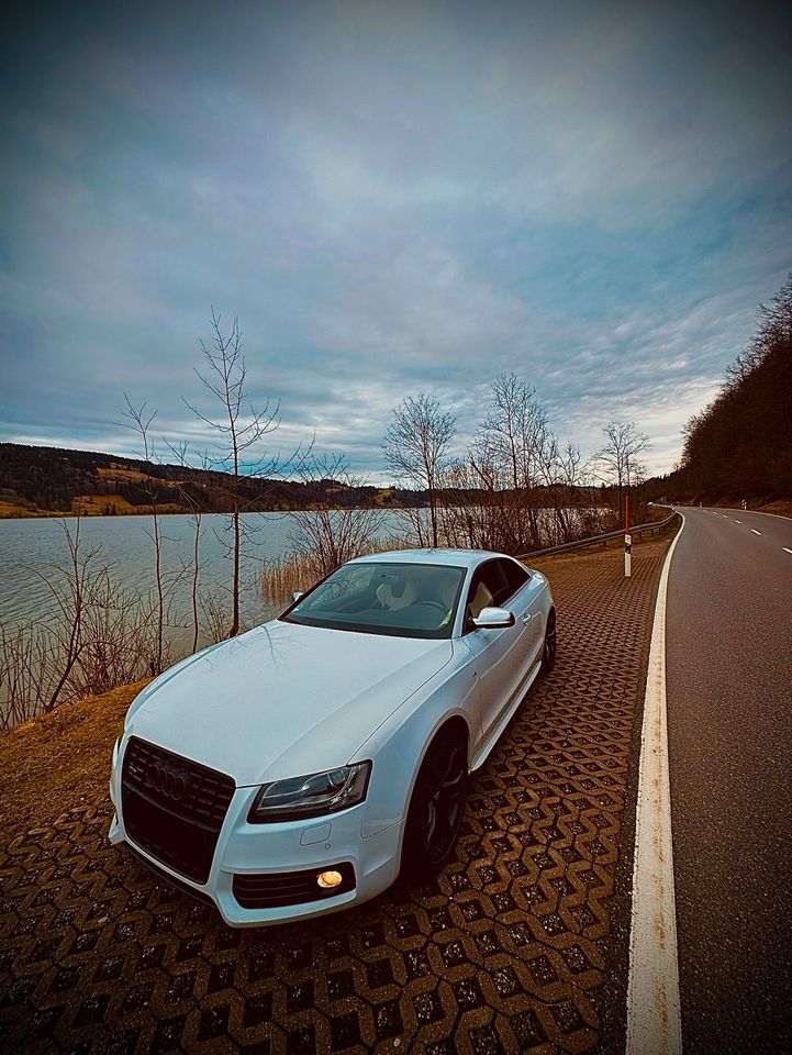 Audi S5 V8 4.2L FSI in Geislingen an der Steige