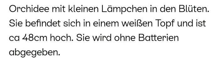 Orchideen künstlich  Marke GLOBO in Detmold