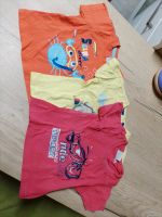 3 T Shirts Größe 74/80 Baden-Württemberg - Bad Saulgau Vorschau