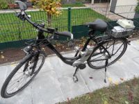 E-Bike, Elektrofahrad 28 mit 2 Akkus Bike Manufaktur,Typ TAILWIND Nürnberg (Mittelfr) - Nordstadt Vorschau