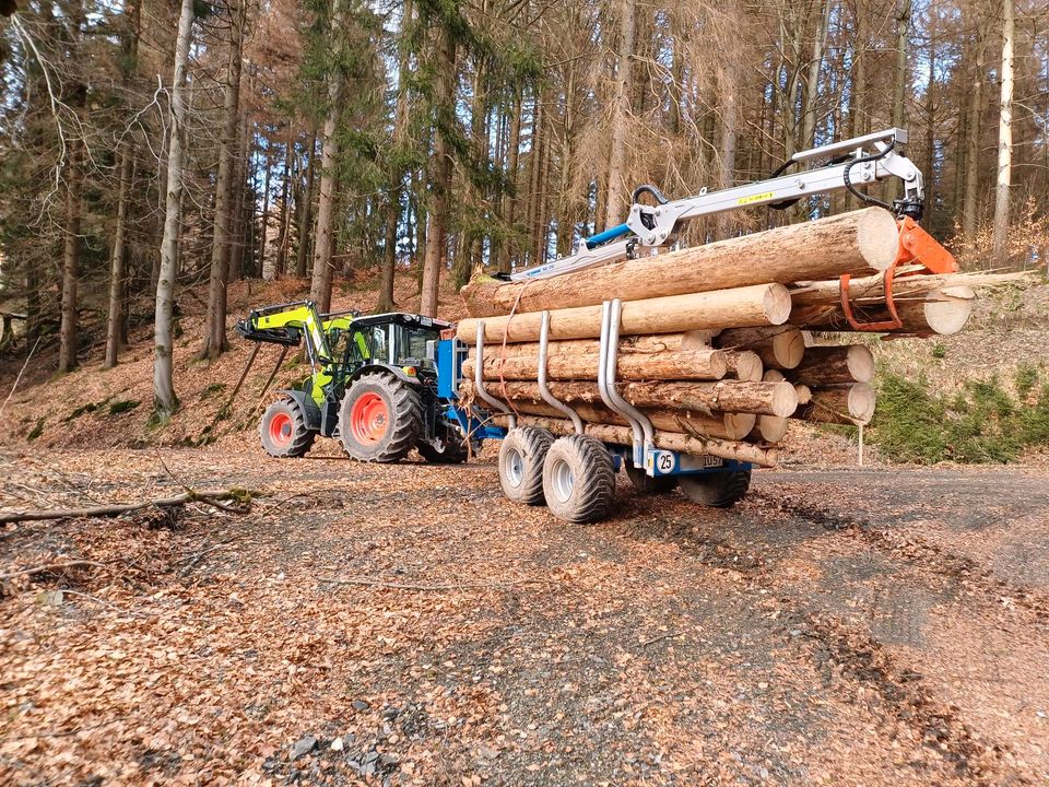 Holztransport/ Stammholz in Eisfeld