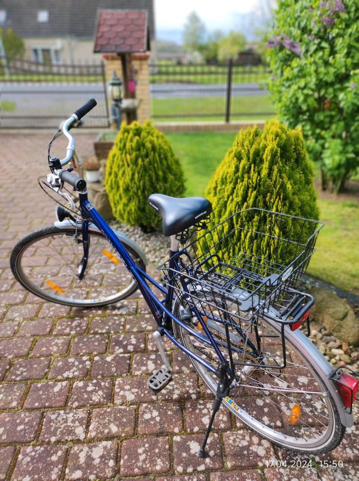 Fahrräder Damen und Herren in Beseritz