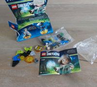 Lego Dimensions 71257 Fantastic Beasts Tina Goldstein Swooping Hessen - Gießen Vorschau