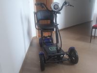 Econelo , Vierrad Elektro-  Roller Sachsen-Anhalt - Aschersleben Vorschau