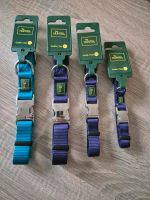 Halsband Hunter / Hunter Halsbänder Nylon Violet und Petrol Rheinland-Pfalz - Herschbach Vorschau