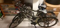 Verkaufe zwei Haibike Xduro Trekking Pro darkgrey/lime Herren u. Schleswig-Holstein - Norderstedt Vorschau