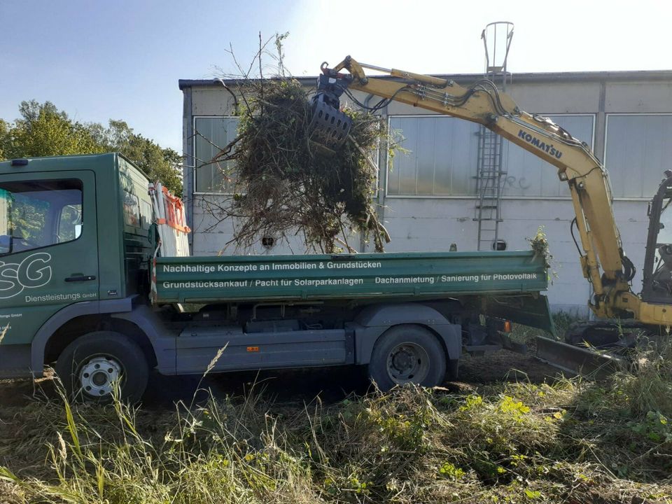 Baggerarbeiten, Zaunbau, Gartenbau, Baumpflege, Dachsanierung in Gültz