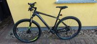 Cube Reaction GTC SL 29 Zoll, 19" Rahmen Carbon Top! Brandenburg - Nordwestuckermark Vorschau