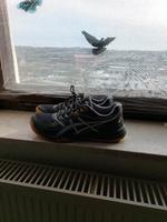 asics Hallenschuhe, nur wenig  getragen  sehr guter Zust Kr. Passau - Passau Vorschau