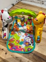 Fisher Price Erlebnisdecke mit Spielbogen Bayern - Altusried Vorschau