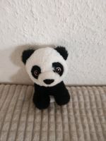 Panda kucheltier Niedersachsen - Langenhagen Vorschau