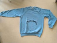 Sisterhood Pullover, Medium, neu, hellblau Altona - Hamburg Altona-Nord Vorschau