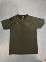 BVB Trikot Stuttgart - Stuttgart-Ost Vorschau