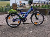 Kinder- Jungenfahrrad Pegasus Arcona 20 Zoll saphirblue Niedersachsen - Alfeld (Leine) Vorschau