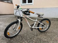 Specialized Kinderfahrrad 20 Zoll München - Berg-am-Laim Vorschau