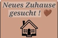 3-Zimmer Mietwohnung gesucht Bayern - Großostheim Vorschau