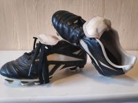 Schuhe Kinderschuhe Fußballschuhe Reebok Größe 30 Niedersachsen - Munster Vorschau
