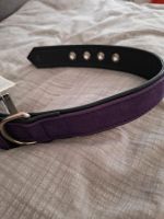 Lederhalsband von Hunter 45cm / 4 cm violett Bochum - Bochum-Südwest Vorschau