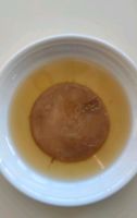 Kombucha Scoby Pilz Schleswig-Holstein - Itzehoe Vorschau