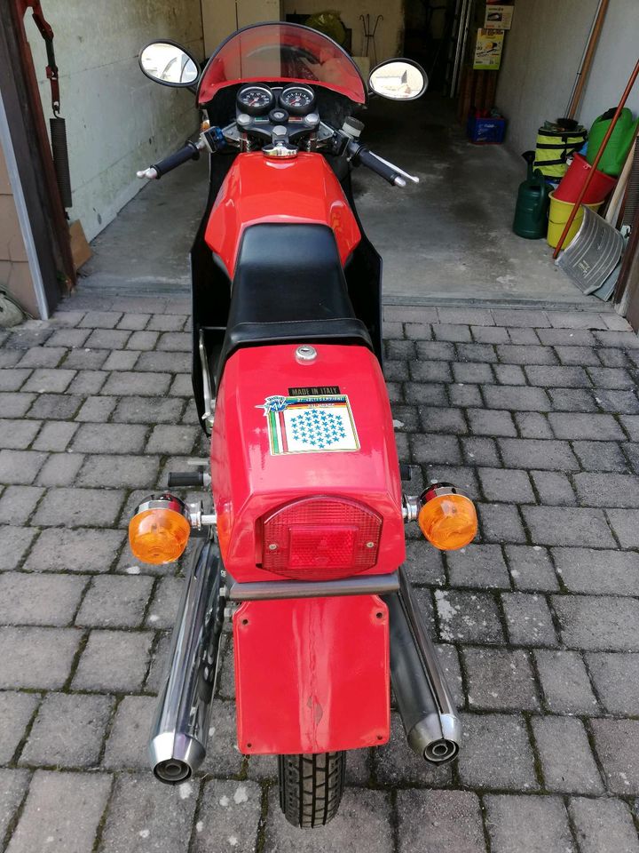 MV Agusta 350 Sport Rennverkleidung in Baltmannsweiler