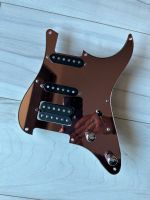 Loaded Pickguard brummfrei (aktiv 9 Volt-Block) Baden-Württemberg - Bammental Vorschau