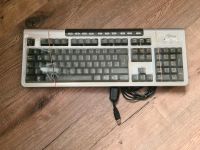 Fujitsu Siemens Keyboard Tastatur USB KB MC SI D Rheinland-Pfalz - Dockweiler Vorschau