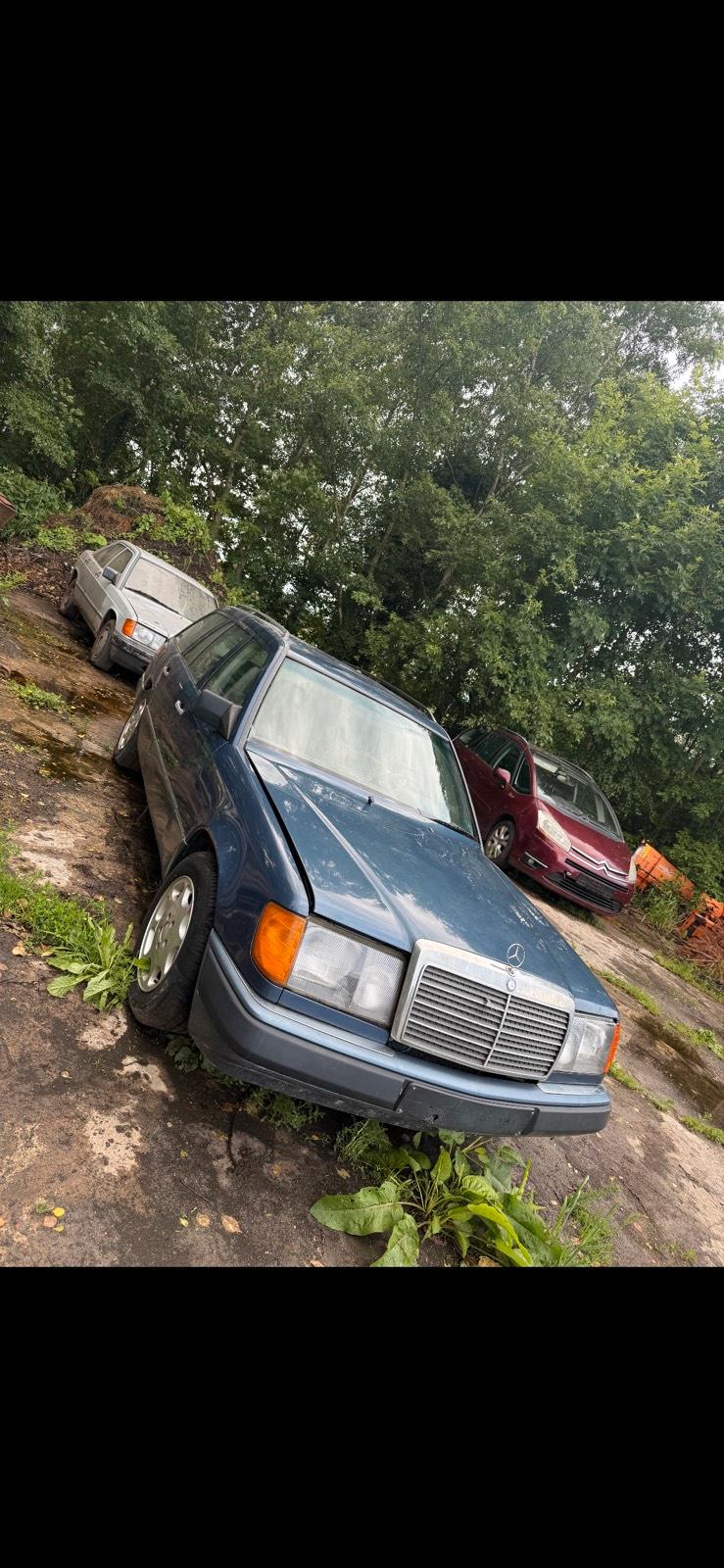 Abbildung des Autos Mercedes 124 t 300 Benzi…