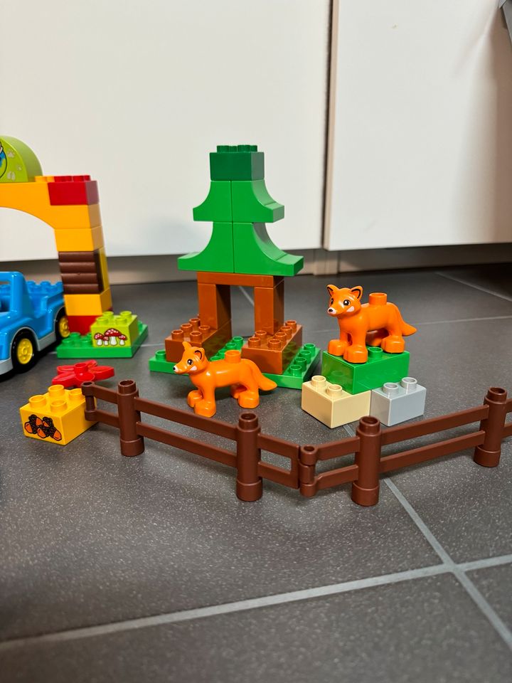 Lego Duplo 10584 - Wildpark in Moers