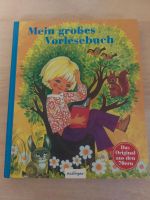 Kinderbuch "Mein großes Vorlesebuch" - das Original aus den 70ern Hessen - Bad Schwalbach Vorschau