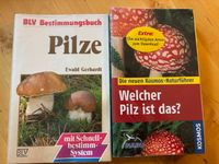 Pilze bestimmen Berlin - Rudow Vorschau