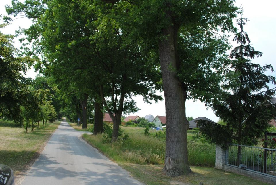 Flatow Baugrundstück im Norden Berlins in wundervoller Natur in Kremmen