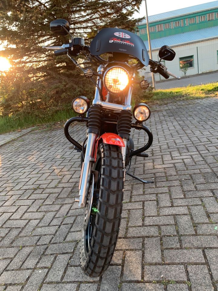Harley Davidson XL 883 Sportster 100th Anniversary Edition in Schönebeck (Elbe)