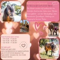 Hobby Pferd kennenlernen? Kurs für die kleinen Pferdeliebhaber Sachsen - Ottendorf-Okrilla Vorschau