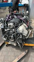 MOTOR CXP  M48.40 4.8i PANAMERA 4S 400PS 441PS Nordrhein-Westfalen - Schloß Holte-Stukenbrock Vorschau