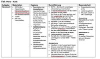 TFA Abschlussprüfung 2024 - Praktische Prüfung Zusammenfassungen Bayern - Erding Vorschau