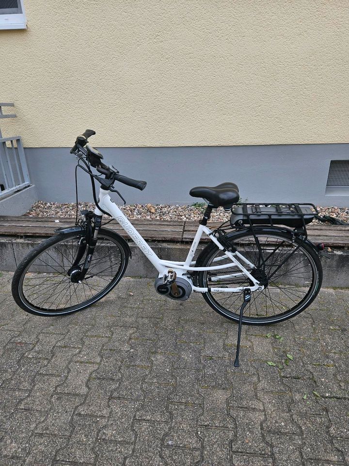 E bike Gudereit EC-4 28 zoll in Waldsee