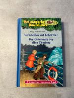 Das magische Baumhaus - Buch - 2 Abenteuer in einem Band Schleswig-Holstein - Seth Holstein Vorschau