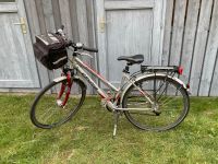 Winora Bahamas Fahrrad Damen CR-8V Trekking Alu Nordrhein-Westfalen - Winterberg Vorschau