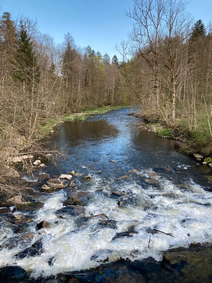 Auszeit mit Yoga & Wandern im Hochschwarzwald: 21.-26.5.2024 in Löffingen