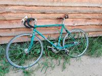 Eska Favorit Singlespeed/fixie FlipFlop Brooks DDR VintageRennrad Dresden - Loschwitz Vorschau