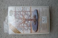 NEU Bastelpackung Perlenbonsai "Apfelbaum", Rayher Nordrhein-Westfalen - Hamm Vorschau