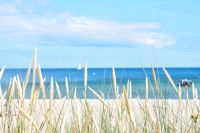 Ostsee Ferienwohnung Strand Hafen Meer Sommer Urlaub neuwertig Nordrhein-Westfalen - Werne Vorschau