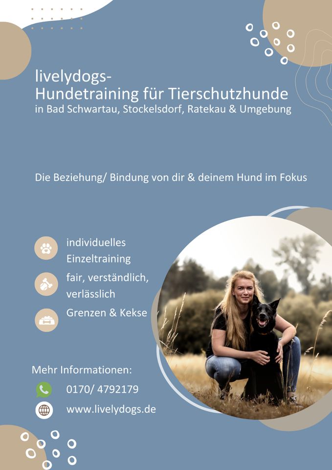 Hundetraining, speziell f. Tierschutzhunde,Hundeschule livelydogs in Lübeck