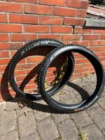 Schwalbe big Betty magic mary 29“ Nordrhein-Westfalen - Porta Westfalica Vorschau