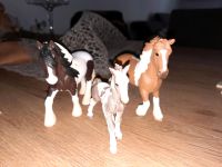 Schleich Pferde Tinker Familie 3tlg Fohlen Stute Hengst Set Nordrhein-Westfalen - Bottrop Vorschau