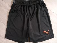 Puma Sportshorts - Gr. XL Sachsen-Anhalt - Sandersdorf Vorschau