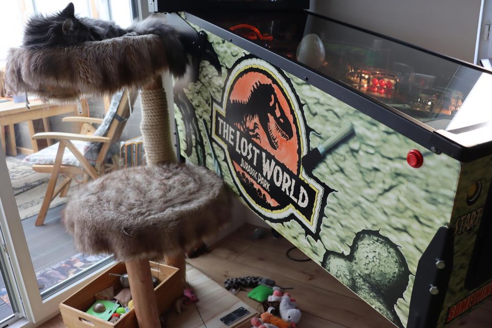Jurassic Park – The Lost World – Flipper Pinball in HUO - Top in Ingolstadt