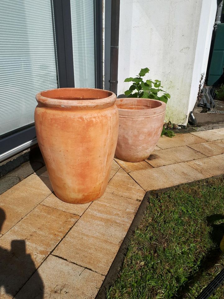 Toskanischer Terrakotta Topf Planzkübel Blumentopf Groß in Henstedt-Ulzburg